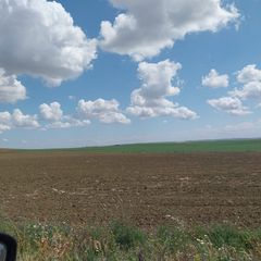 Finca rústica a Carmona