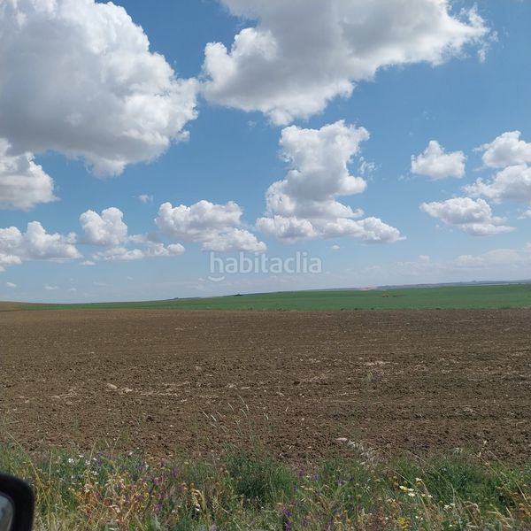 Foto f188b314-83c5-4d42-998a-71077745a3c8. Finca rústica a Carmona