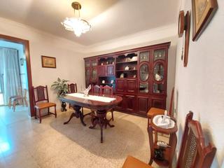 Flat in La Plana del Pintor