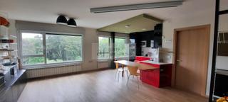 Pis  De castrelos 36. Vigopiso