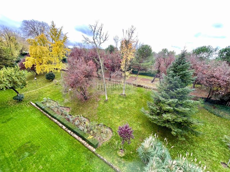 Foto 47c85cb6-d196-47c7-a704-c062922e9087. Rent flat with heating parking pool in Fuentelarreina Madrid