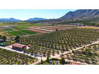 Terrain résidentiel à Hondón de las Nieves. Exclusivas parcelas en el valle de hondón destinadas a la constr