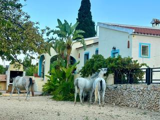 Pis a Polop. Esta es una oportunidad para ti que quieres trabajar con caballo