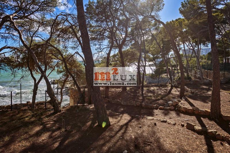 Foto c823ef2f-902c-4ff2-8e4c-f0476414a3b9. Haus mit parking in Centre-Platja Platja d´Aro