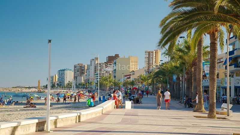 Foto cde0f91c-895a-4714-b3d7-cec374d7a816. Àtic amb calefacció a Campello Playa Campello (el)