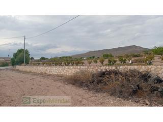 Propriété  N/a. Campo en venta a 5 km de yecla.
