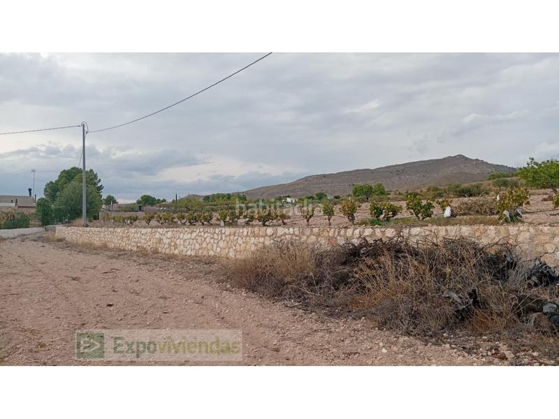 Foto 916dd8cf-9679-421a-8823-01251241b960. Rural plot in Yecla