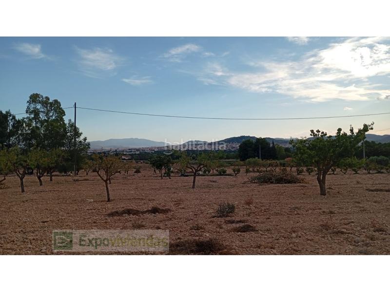 Foto 9ac84ccf-19b5-493b-87fe-417022d223b5. Rural plot in Yecla