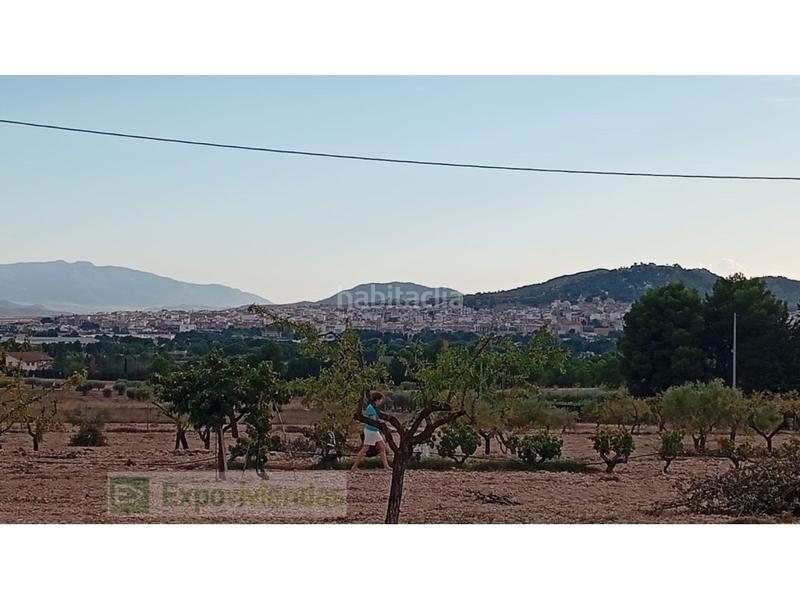 Foto c086f1e9-4f6e-4471-90ff-e991c9ef2640. Rural plot in Yecla