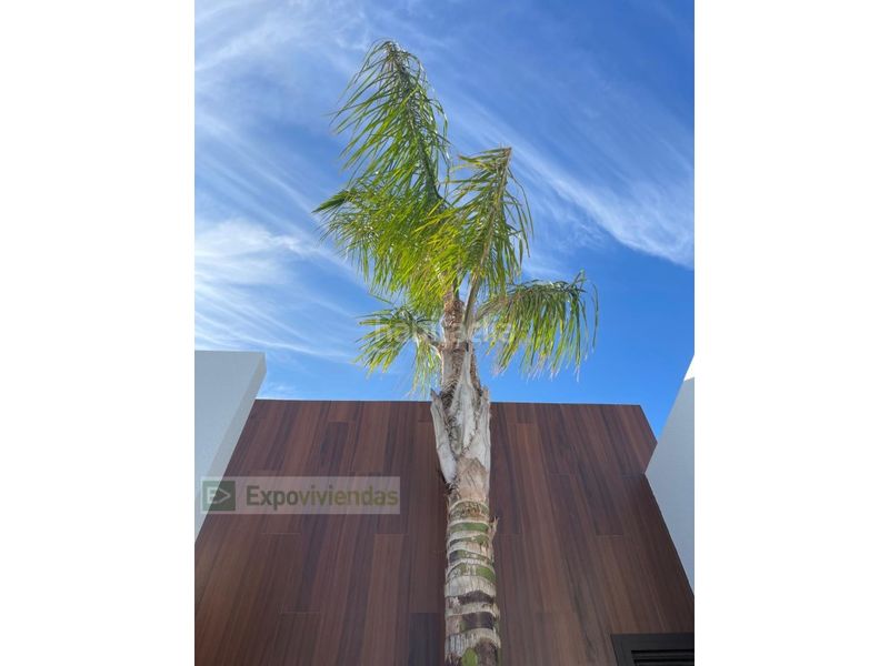 Foto 40e74797-f730-4313-abae-09e89cd67b77. Casa amb aparcament piscina a Las Lomas de Rame-Bahía Bella Alcázares (Los)