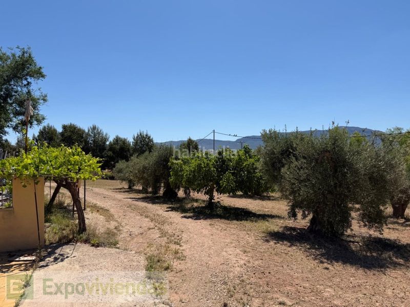 Foto f0e87288-7992-4e3c-8725-d7ee52ad5d42. Xalet amb aparcament piscina a Jumilla