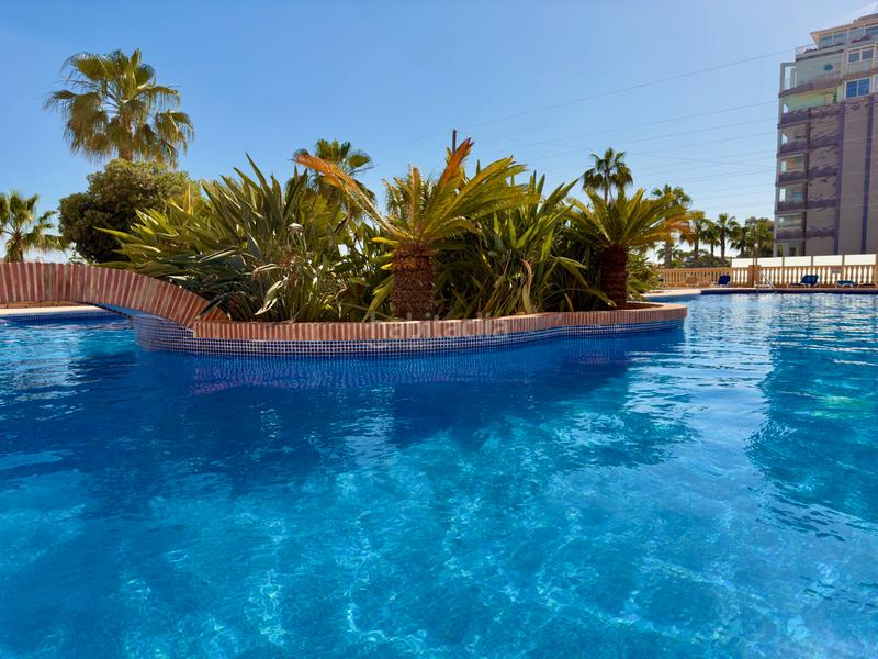 Foto 33d40ff7-6179-4bf9-bd11-3369cc0d9dfa. Piccolo appartamento in calle gibraltar 4 in Puerto Calp