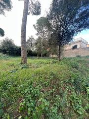 Terrain résidentiel à Mas Mora-Sant Daniel. Parcela en mas mora