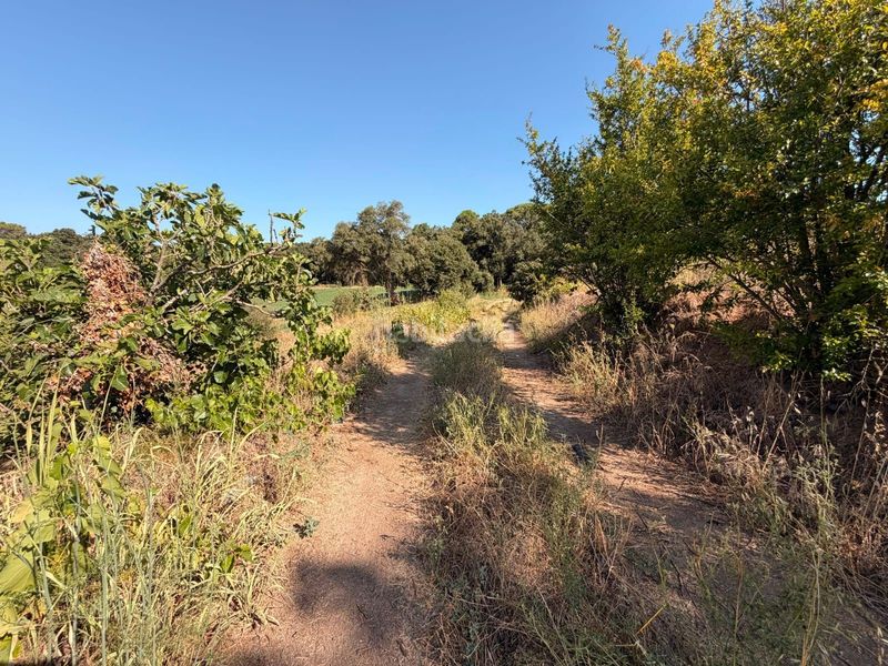 Foto 1a9345be-92f7-416b-8f88-2349a1210c55. Finca rústica a Tordera Tordera