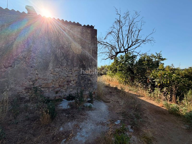 Foto 4798d019-2741-4b72-a953-a98423b18481. Finca rústica a Tordera Tordera