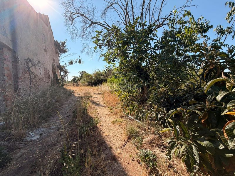 Foto cc00e2ab-fe3f-44d8-9a1b-33e4748394dc. Finca rústica a Tordera Tordera