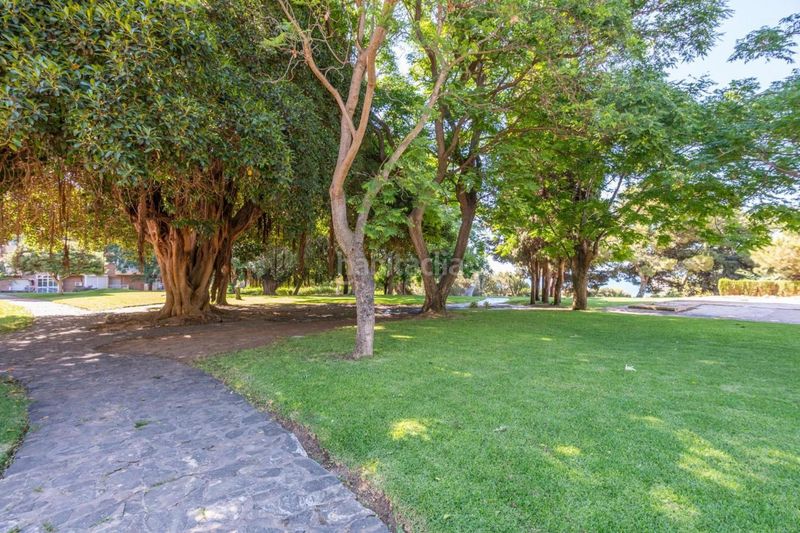 Foto e10e3ad1-d324-46d1-be1b-1273e80647df. Estudi a avenida gamonal 4 a Parque de la Paloma Benalmádena