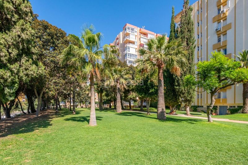 Foto f0700ce9-0c3d-419a-8a3c-5875eafb2933. Estudi a avenida gamonal 4 a Parque de la Paloma Benalmádena