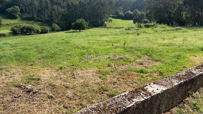 Foto 9d1d44a5-fd3e-44a4-8b3c-fbdfd51dccdb. Terreny residencial a n/a a Área Rural Ferrol