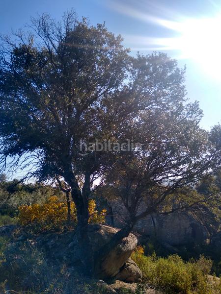 Foto 13a34193-02fe-42a2-826d-81a93d7357bf. Finca rústica a Cadalso de los Vidrios