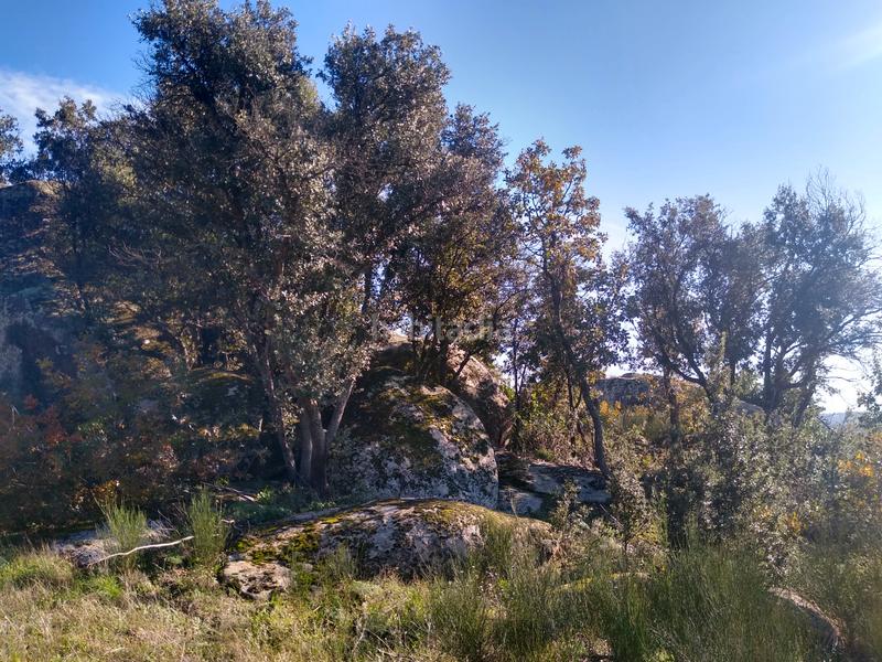 Foto 1541f308-7dff-44c7-8c5b-b2346039d60d. Finca rústica a Cadalso de los Vidrios