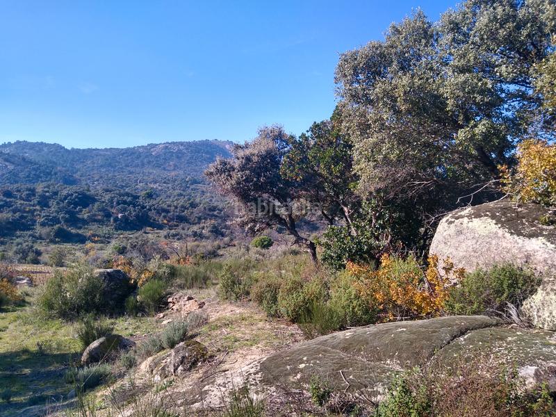 Foto 1c940661-abbb-44e9-b0da-39cda959863e. Finca rústica a Cadalso de los Vidrios