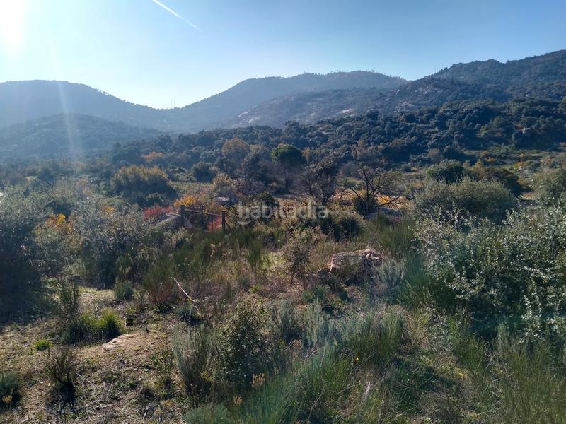 Foto 246111d8-4224-411e-afdb-d195b1a4a107. Finca rústica a Cadalso de los Vidrios