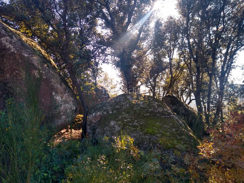 Foto 3265a44a-ab55-41d0-a652-56125fe95ee4. Finca rústica a Cadalso de los Vidrios