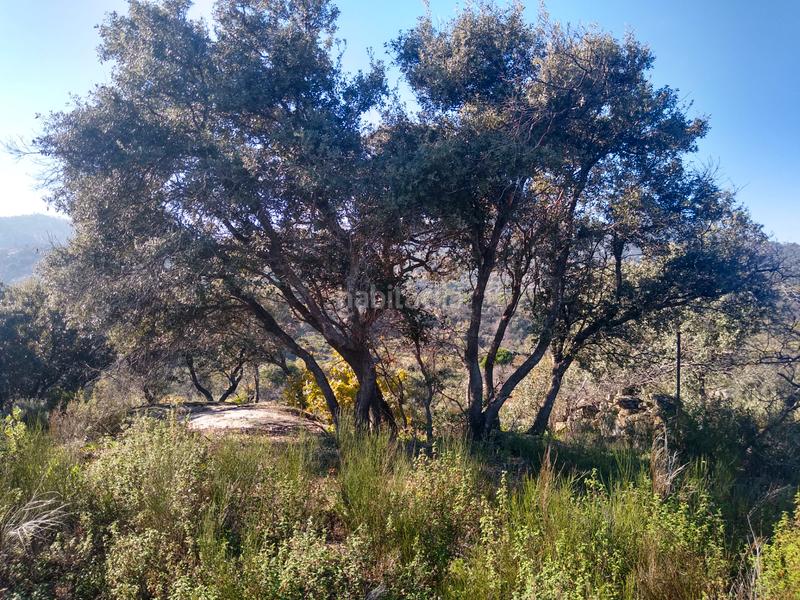 Foto 3794c70e-f410-4815-b9d1-b15253739cbe. Finca rústica a Cadalso de los Vidrios