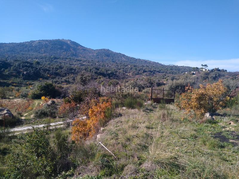 Foto 42e7fa8a-4982-4575-8350-34c3e86cdc03. Finca rústica a Cadalso de los Vidrios