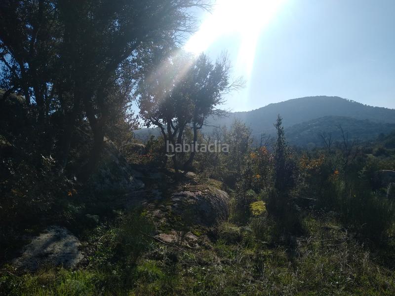 Foto 435adacb-5a4a-4ed6-91c3-d04ebd753a71. Finca rústica a Cadalso de los Vidrios