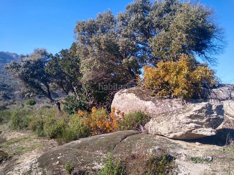 Foto 5709c464-6ced-4977-9824-8b78d9b6ae85. Finca rústica a Cadalso de los Vidrios