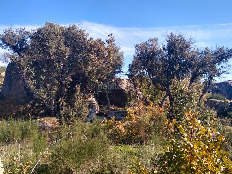 Foto 63df5aae-3e81-4c7b-a43f-a6f625fa91e5. Finca rústica a Cadalso de los Vidrios