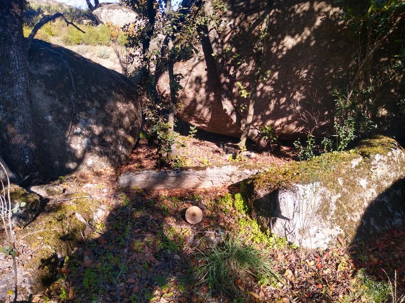 Foto 716c538b-99d9-45af-b5d4-1d6c60ebe6e9. Finca rústica a Cadalso de los Vidrios