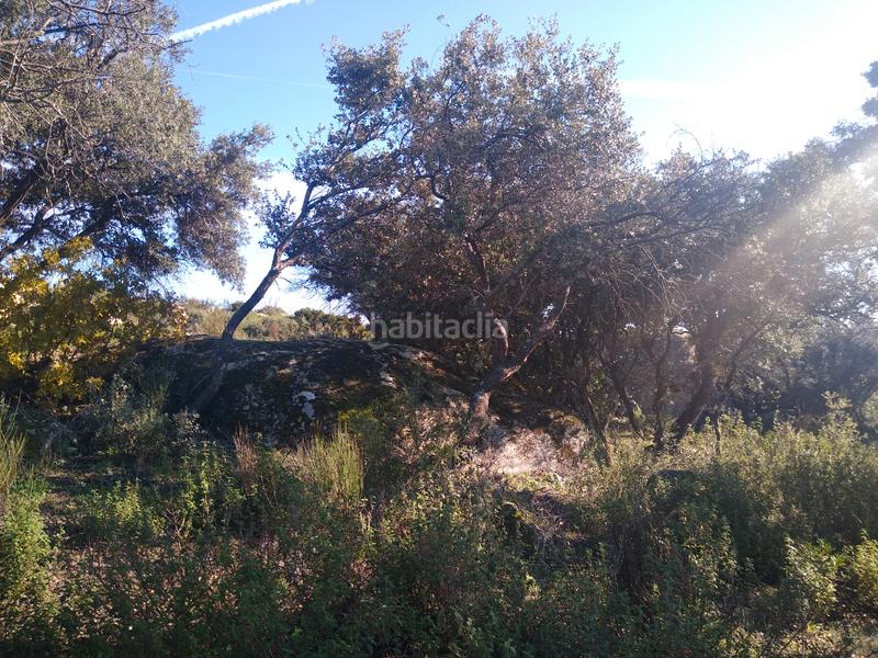 Foto 73f81dbd-1467-4101-845e-afc661f18b85. Finca rústica a Cadalso de los Vidrios