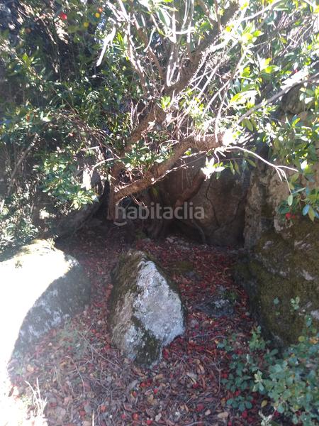 Foto 9464fce1-e20d-4617-8355-a691bf32d1b8. Finca rústica a Cadalso de los Vidrios