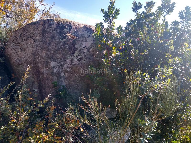 Foto ad55db2d-28de-4336-b1e9-4be11ff70203. Finca rústica a Cadalso de los Vidrios