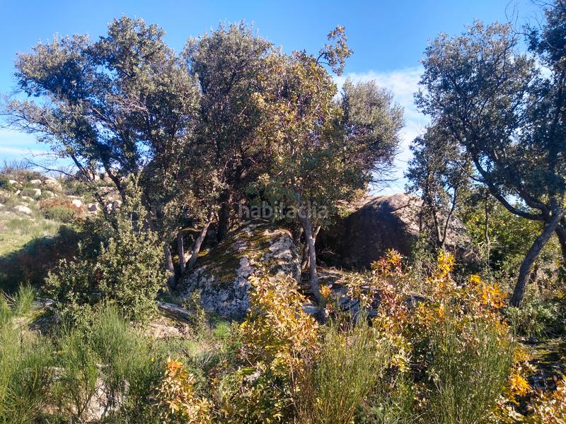 Foto e7d3382a-363d-4048-934d-eddb3039bd86. Finca rústica a Cadalso de los Vidrios