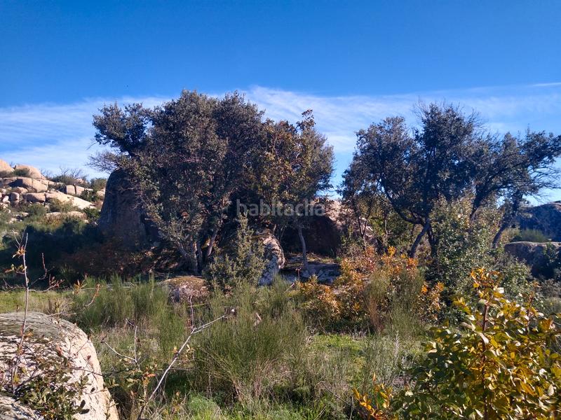 Foto e8fc0931-9452-4655-9906-875e1771109b. Finca rústica a Cadalso de los Vidrios