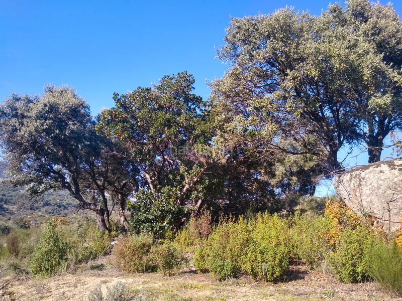 Foto ed6dd4b0-60cf-4745-8eec-4f6c8a91d960. Finca rústica a Cadalso de los Vidrios