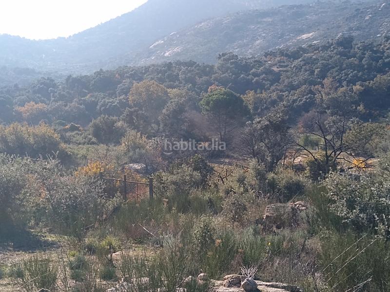 Foto fc3251d1-e392-4bc8-831d-f7c589eadefc. Finca rústica a Cadalso de los Vidrios