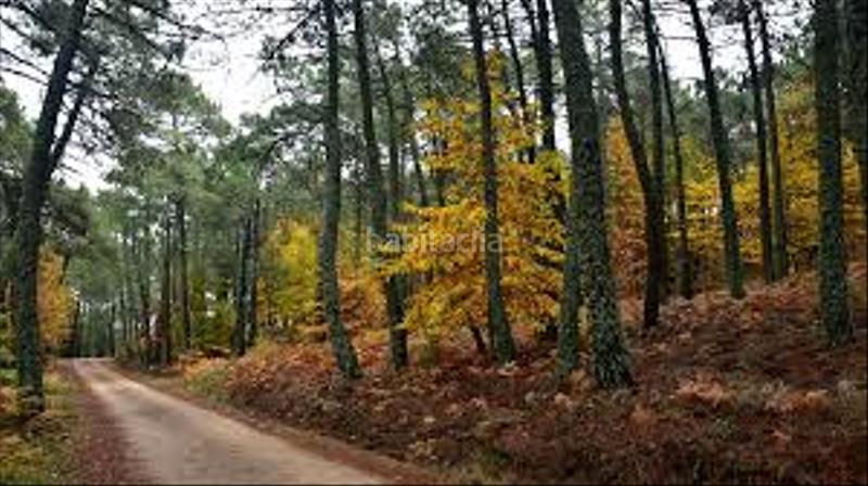 Foto 8f7bd387-9e14-4215-8e94-2eefb4b0dc57. Reihenhaus in Cenicientos