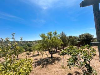 Masia en Cadalso de los Vidrios. Se vende estupenda finca rstica con vivienda  en las afueras de