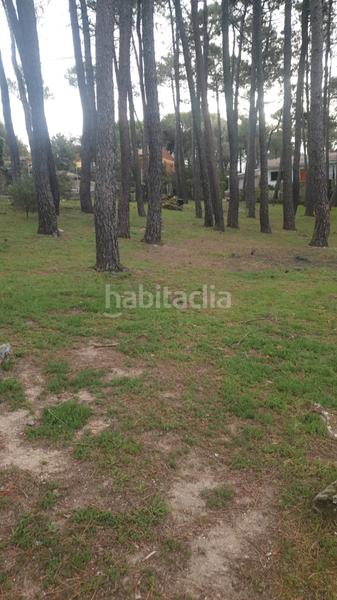 Foto c47d7eea-756b-4467-9fd7-3a6d0bd9948d. Terrain résidentiel dans calle segovia 104 dans Cadalso de los Vidrios