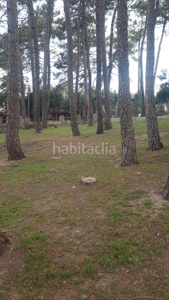 Foto ef8853d9-1897-4271-a9b8-8f2892f46229. Terrain résidentiel dans calle segovia 104 dans Cadalso de los Vidrios