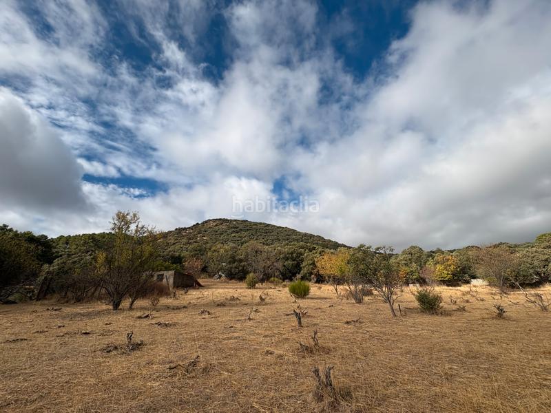 Foto 44f6c88e-a732-4154-8a33-417c2eb0f140. Mas dans Cenicientos