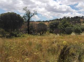 Finca rústica en Cadalso de los Vidrios. Se vende preciosa finca rústica en cadalso de los vidrios, madri