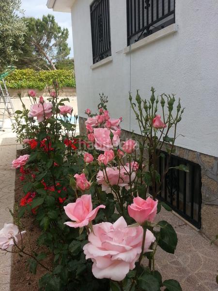 Foto 94a62cd6-14e4-41ef-9443-cc44834c0ed3. Chalet dans calle almendros 110 dans San Martín de Valdeiglesias