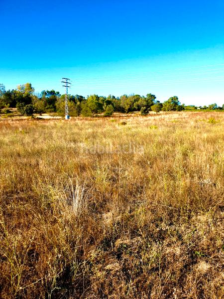 Foto 234f4c56-d732-42e2-be87-fc75f0d46394. Landgut in Prosperidad Madrid