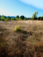 Finca rústica  Pasaje san martin de valdeiglesias. Se vende finca rústica en san martín de valdeiglesias